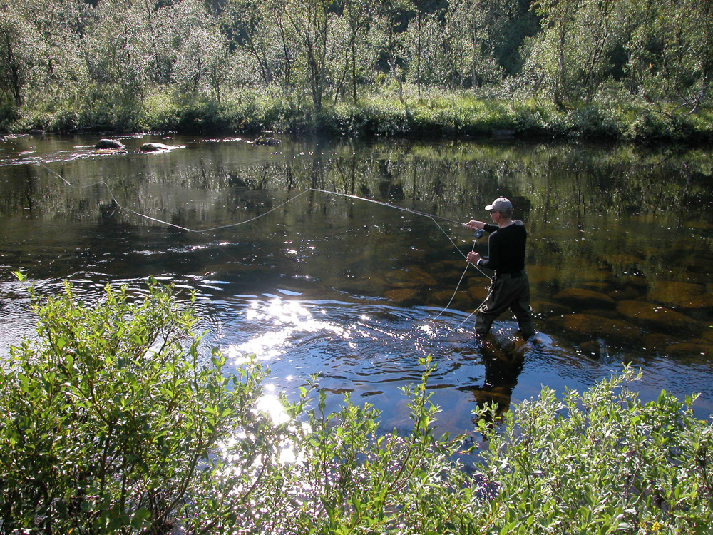 Elvefiske