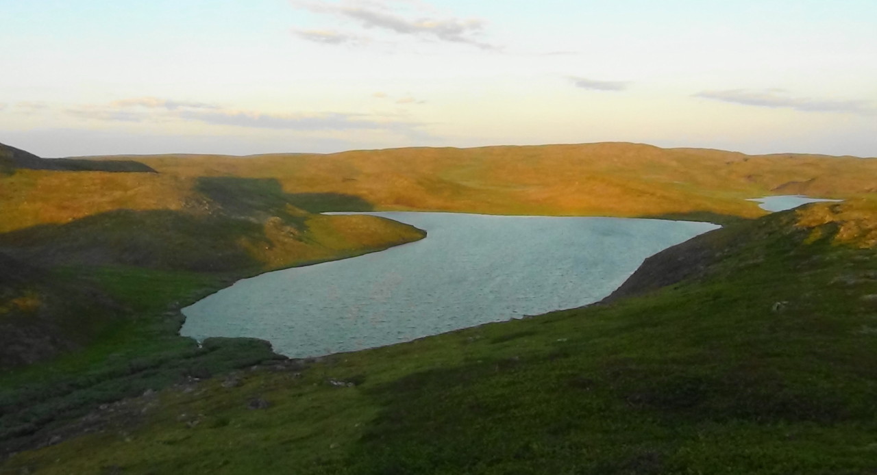 Laksefiske